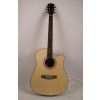 Acoustic Guitar FS-4132C-N