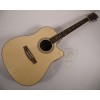 Acoustic Guitar FS-4132CN