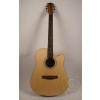 Acoustic Guitar FS-4184C-N