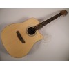 Acoustic Guitar FS-4184C