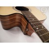Acoustic Guitar FS-4184CN