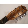 Acoustic Guitar FS4184C-N