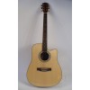 Folk Guitar FS-4180C